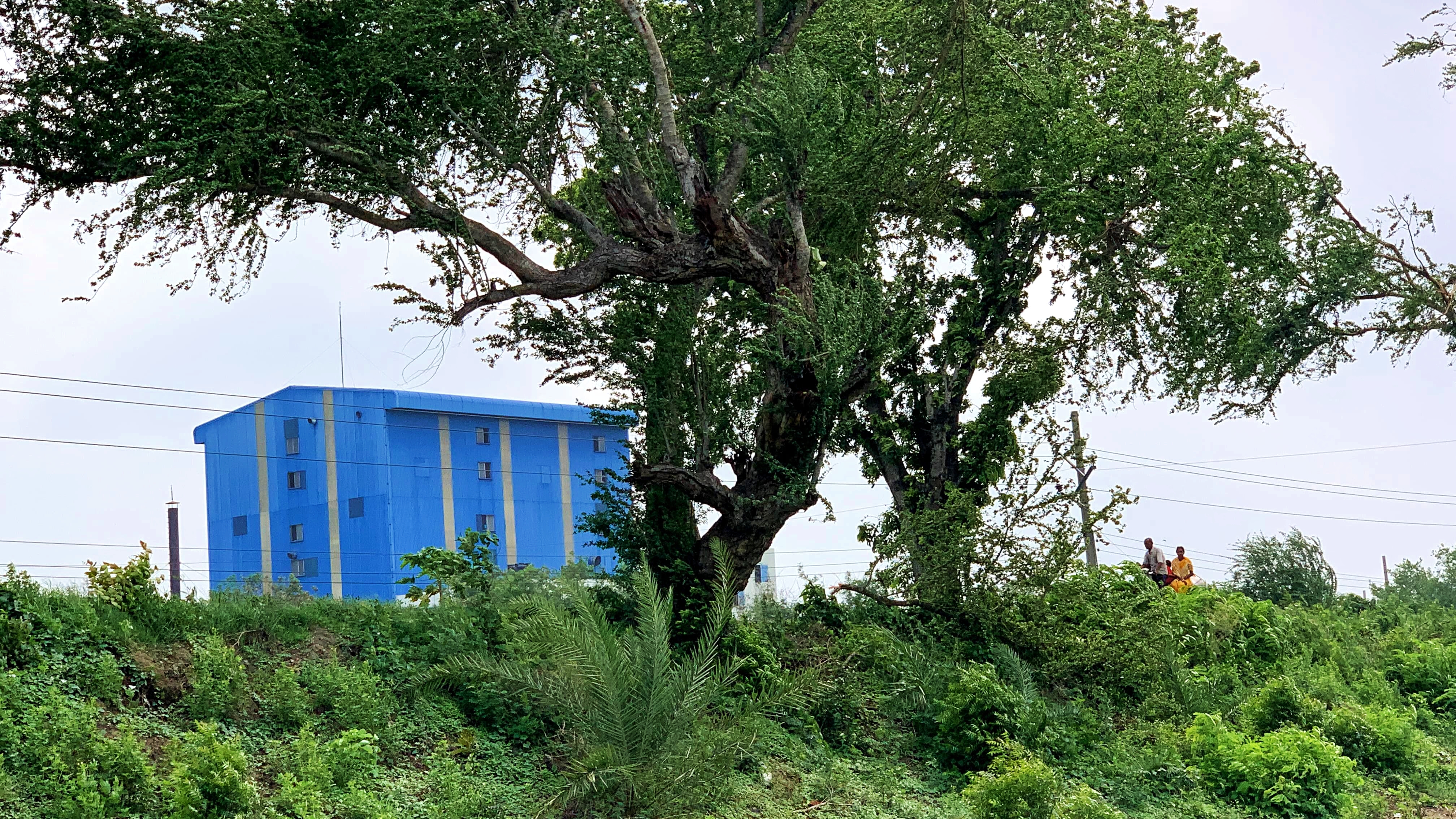 নড়াইলে মহাসড়কের পাশ থেকে মৃত ব্যক্তির লাশ উদ্ধার