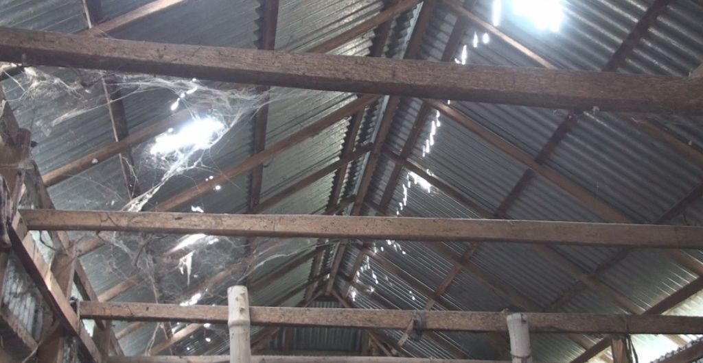 সন্ত্রাসের কবলে নড়াইলের লোহাগড়া উপজেলার তেলকাড়া গ্রাম আতঙ্কের জনপদে পরিনত