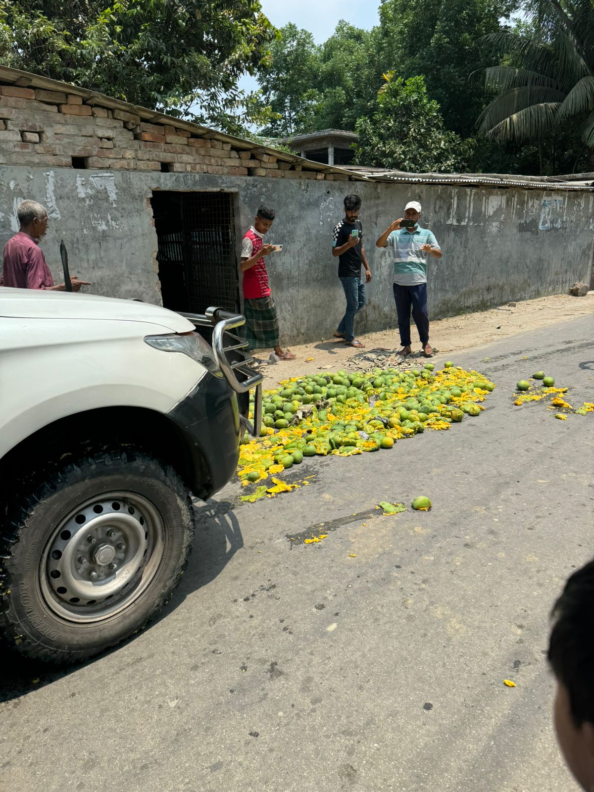 সাতক্ষীরার কালিগঞ্জে রাসায়নিক দ্রব্য দিয়ে পাকানো আম জব্দ