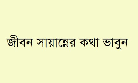 জীবন সায়ান্নের কথা ভাবুন