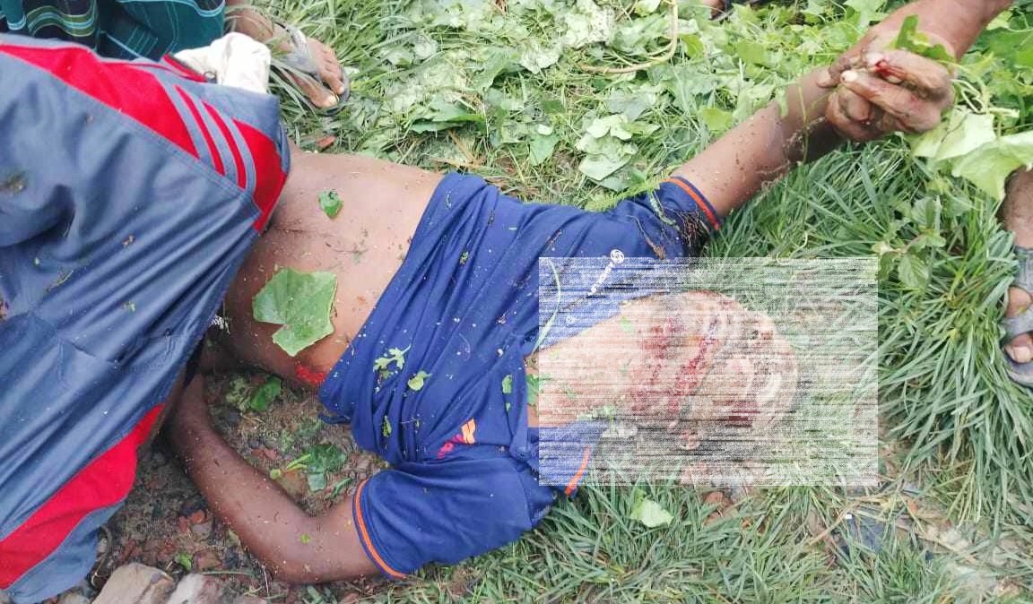নড়াইলে সড়ক দুর্ঘটনায় ভ্যান চালক নিহত