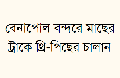 বেনাপোল বন্দরে মাছের ট্রাকে থ্রি-পিছের চালান