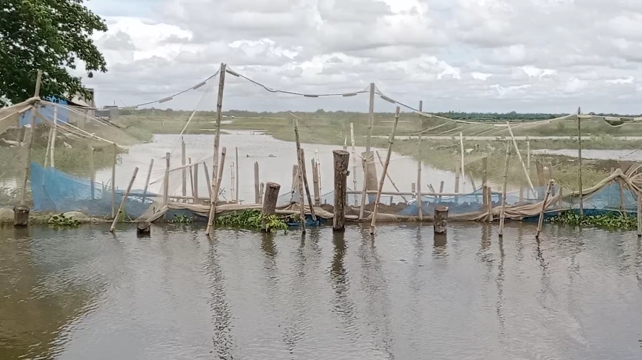 কালিয়ায় ঘের মালিকদের সুবিধার্থে সরকারি খাল বন্ধ করে রাস্তা নির্মাণ