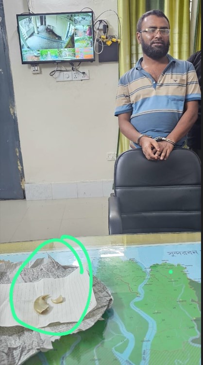 সাতক্ষীরার নীলডুমুর বাজার থেকে বাঘের নখসহ পাচারকারী আটক