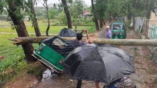 ফুলপুরের উপরে বয়েগেল কালবৈশাখীর ঝড়। 